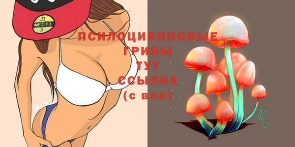 твердый Аркадак