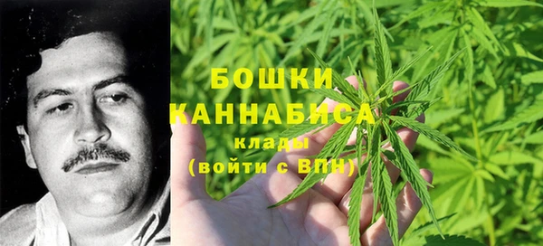 твердый Аркадак