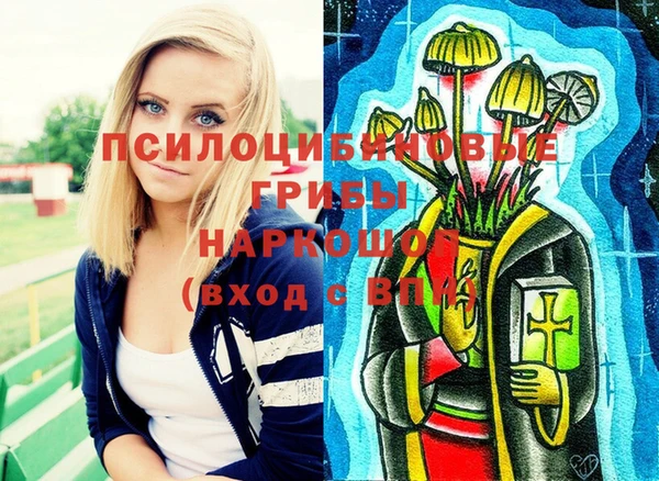 гидропоника Балабаново