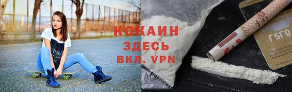 сатива Арсеньев
