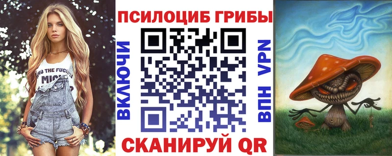 Галлюциногенные грибы GOLDEN TEACHER  как найти закладки  Пучеж 