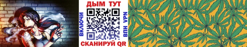 гидра tor Пучеж Шишки марихуана SATIVA & INDICA как найти закладки